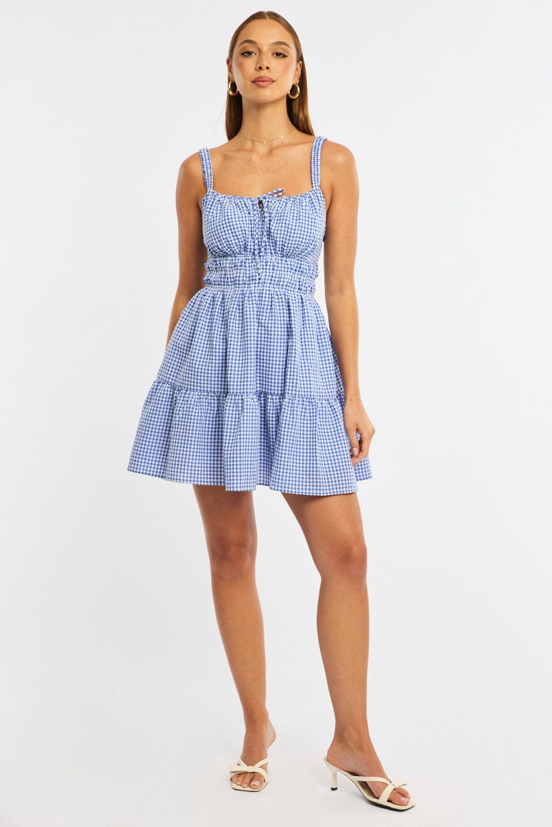 Blue Check Fit And Flare Dress Mini