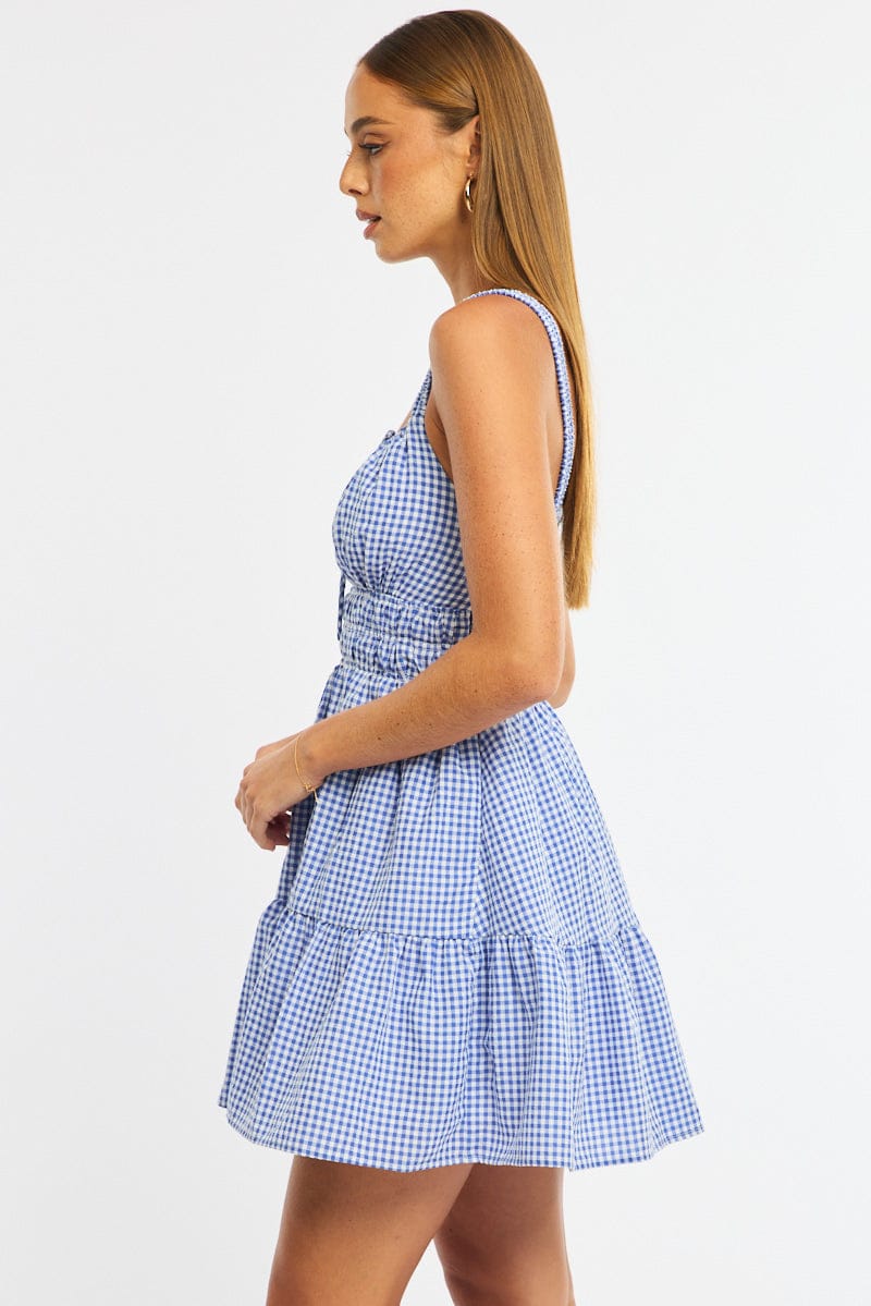 Blue Check Fit And Flare Dress Mini