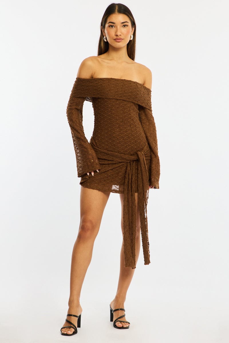 Brown Off Shoulder Dress Long Sleeve