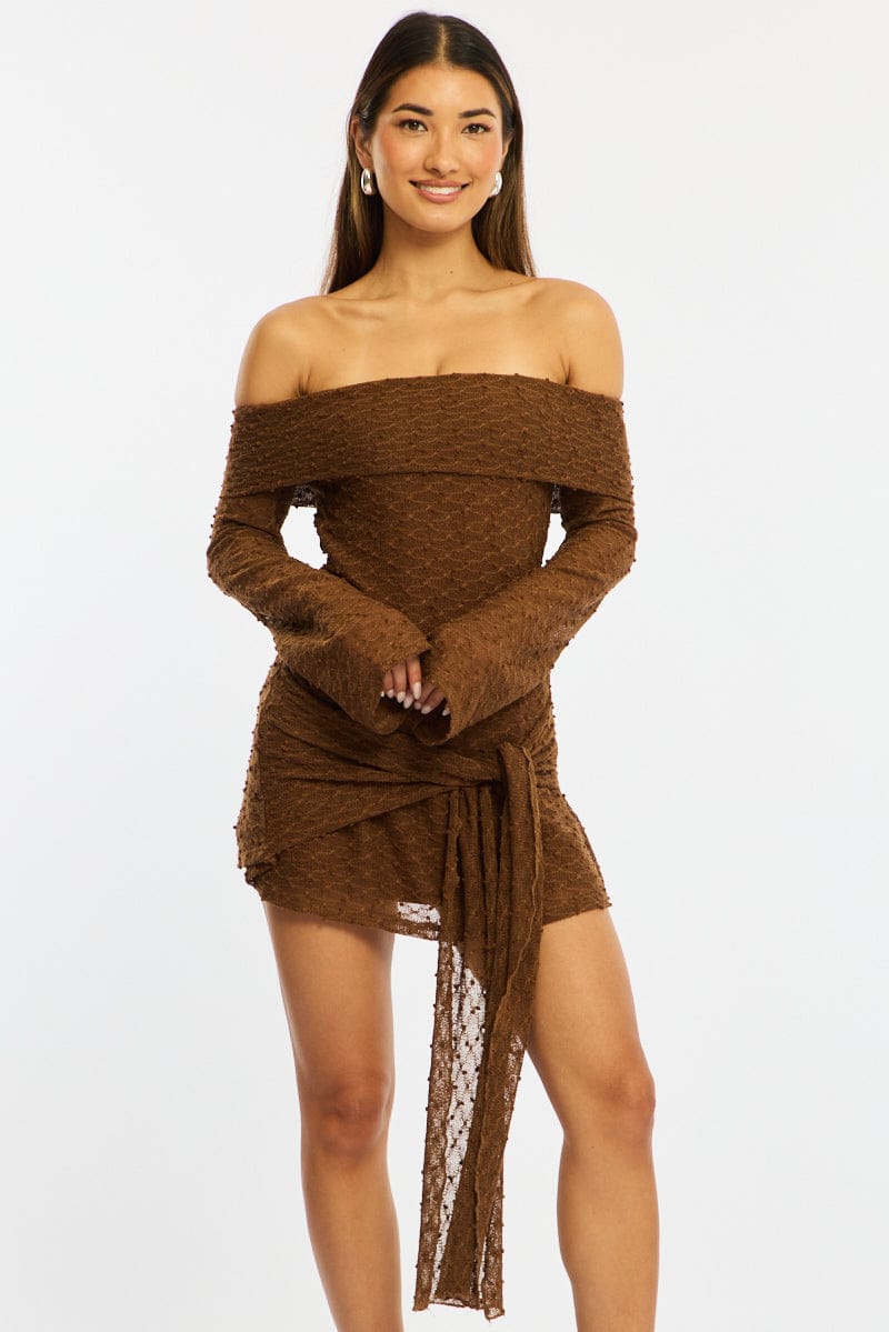 Brown Off Shoulder Dress Long Sleeve